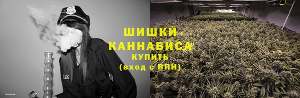 первитин Гусиноозёрск
