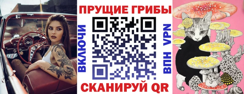 Псилоцибиновые грибы Magic Shrooms  Купить  Вилюйск 